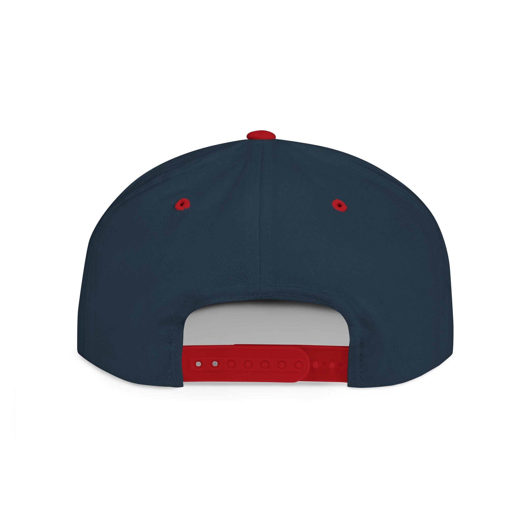Snapback Hat — "Ditch the Dirt" Retro Script Flat Bill Cap