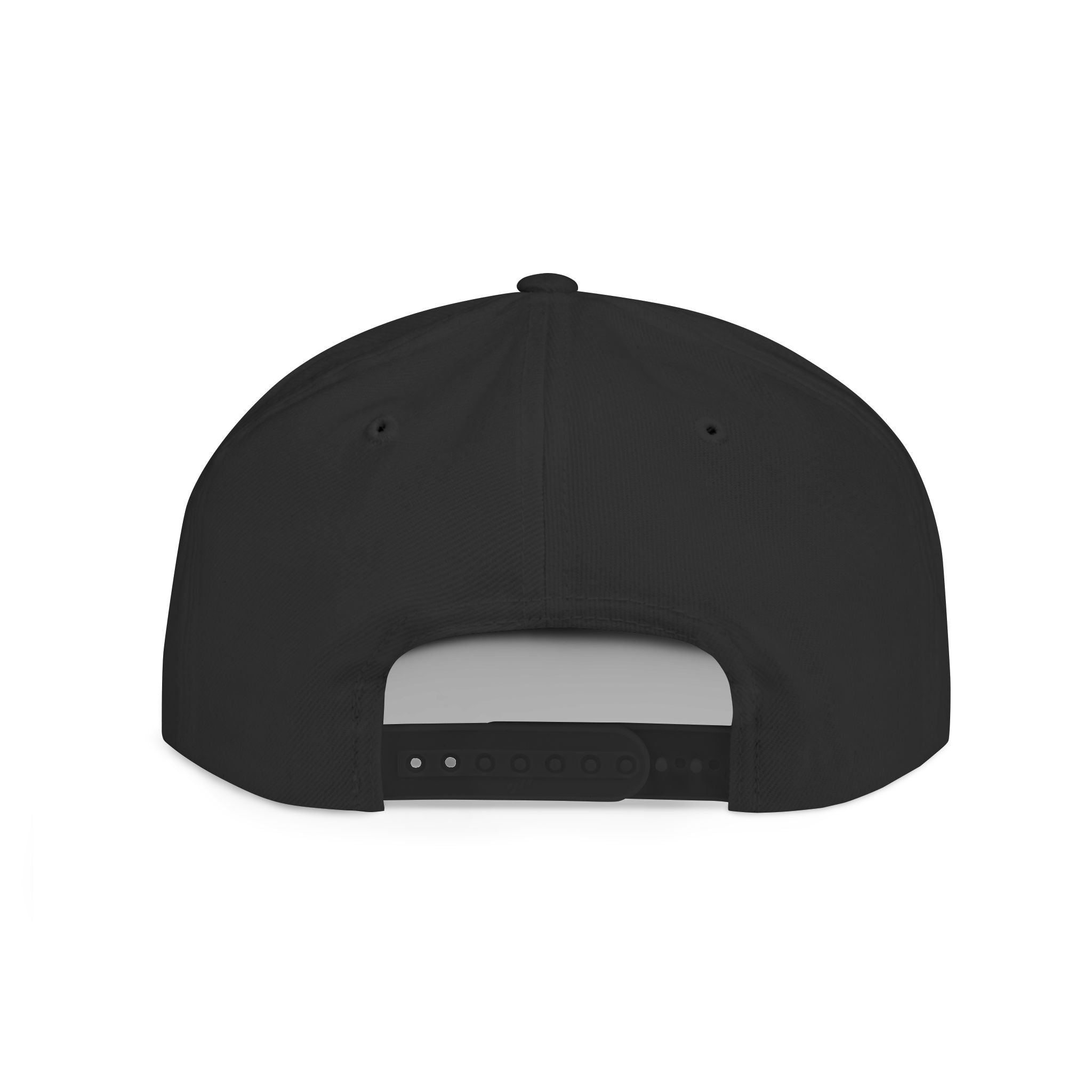 Snapback Hat — "Ditch the Dirt" Retro Script Flat Bill Cap