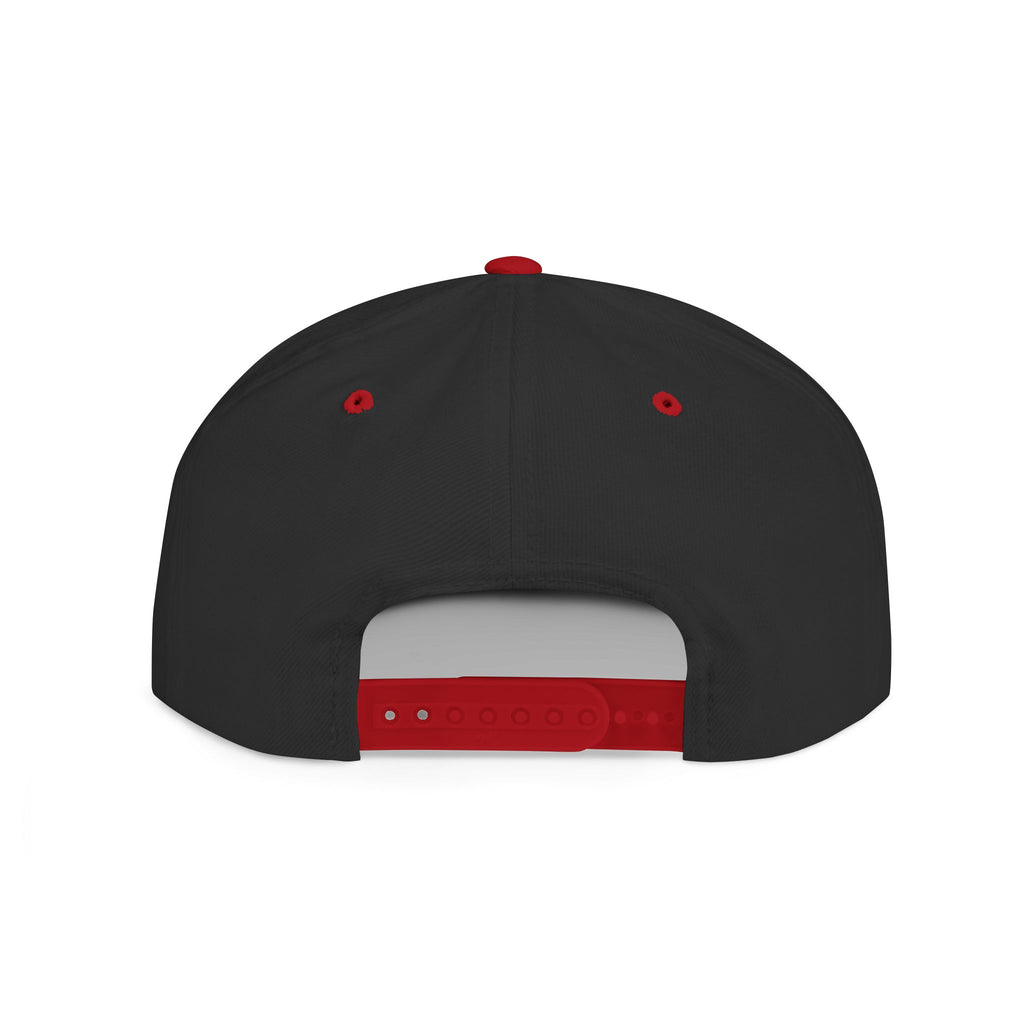 Snapback Hat — "Ditch the Dirt" Retro Script Flat Bill Cap