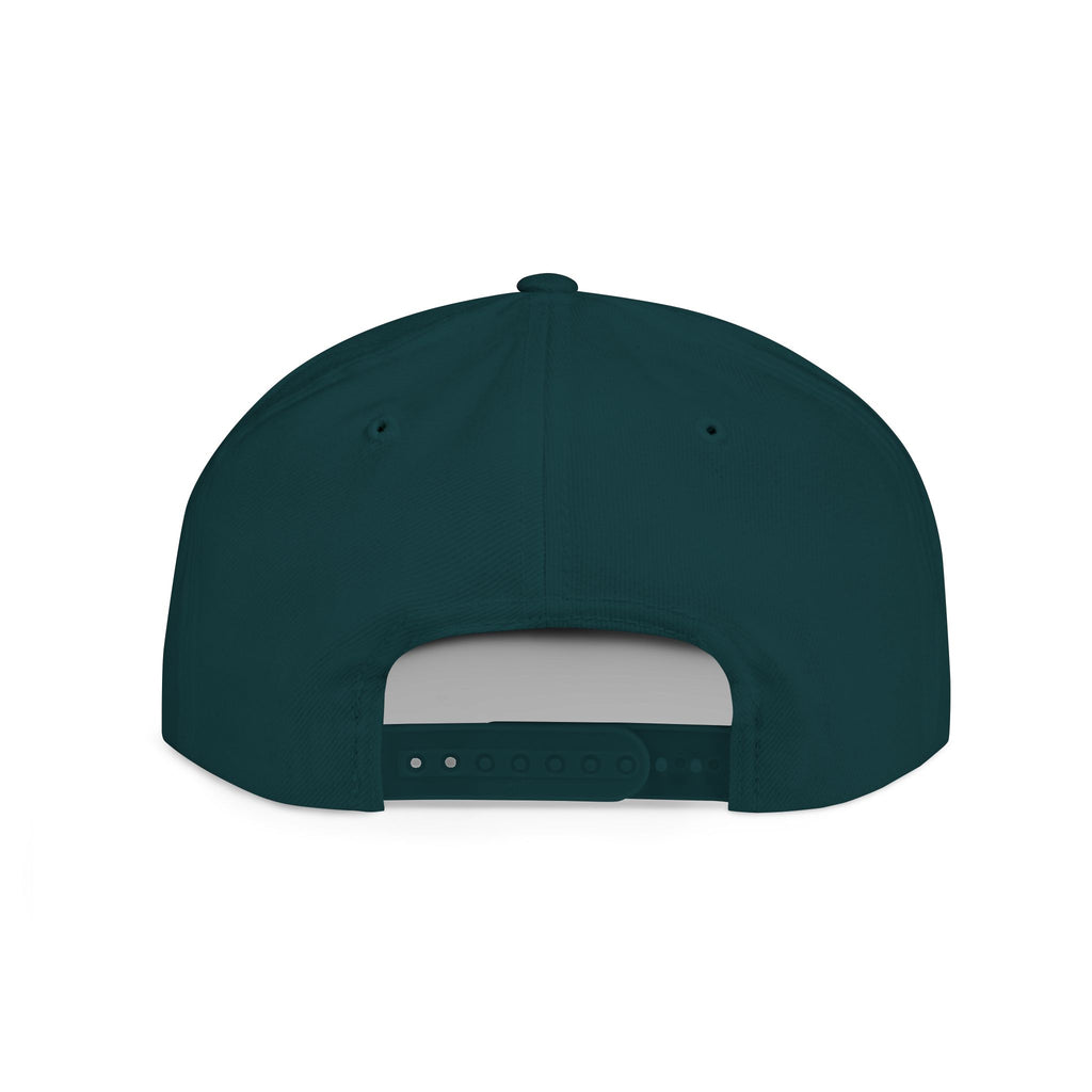 Snapback Hat — "Ditch the Dirt" Retro Script Flat Bill Cap