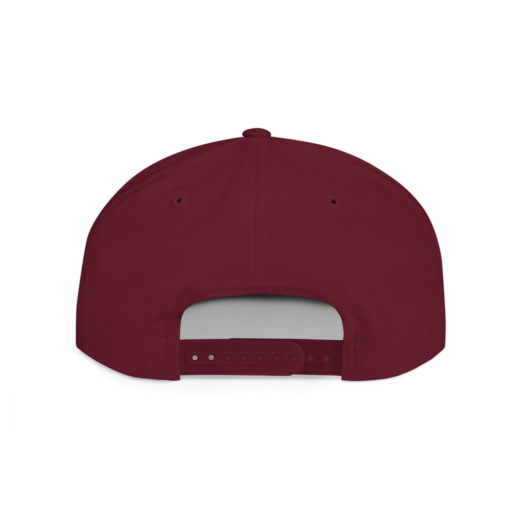 Snapback Hat — "Ditch the Dirt" Retro Script Flat Bill Cap