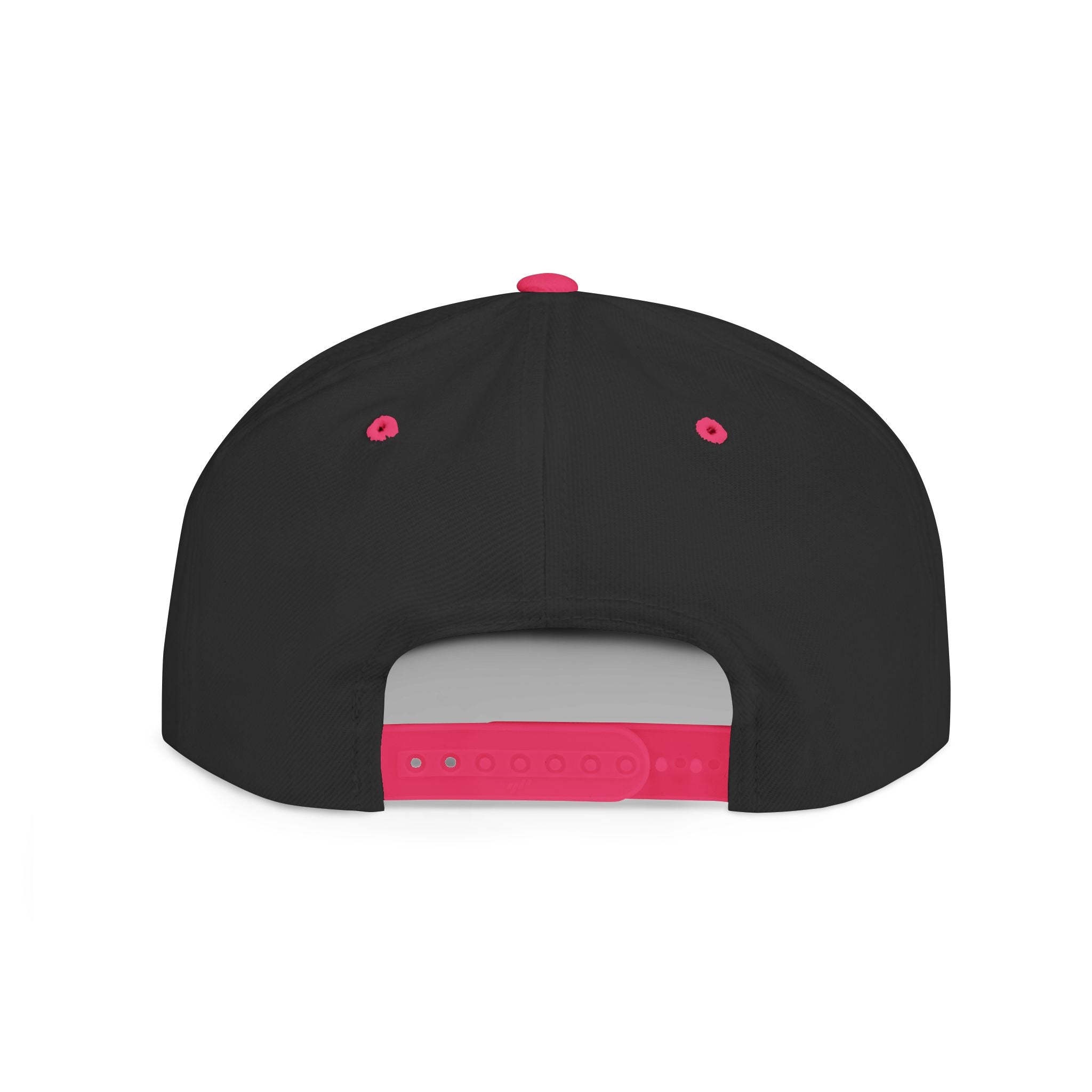 Snapback Hat — "Ditch the Dirt" Retro Script Flat Bill Cap