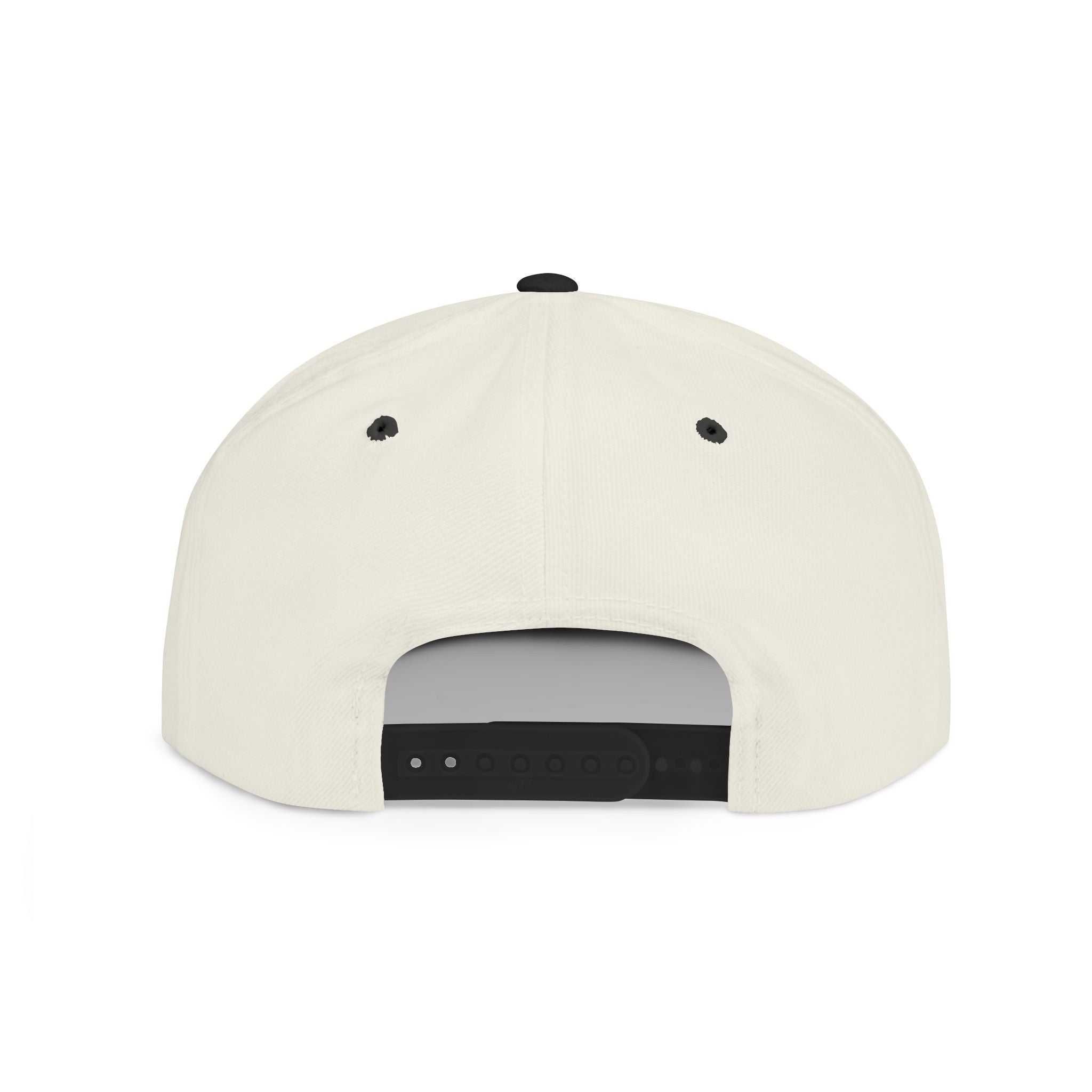 Snapback Hat — "Ditch the Dirt" Retro Script Flat Bill Cap
